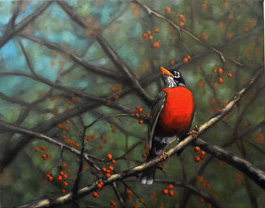 RestingRobinResized